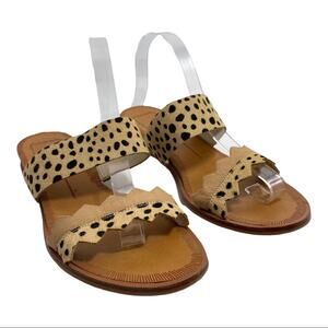 Dolce Vita Cheetah Sandals Size 7